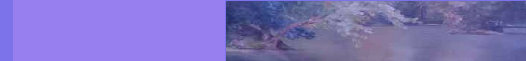 pas_062208003009.jpg