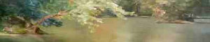 pas_062208003019.jpg