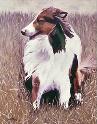 Christopher | Oil Painting