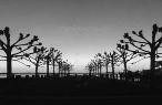 Dock of the Bay II -