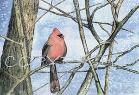 Winter's Color - From Orig. Mixed Media